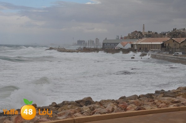 yaffa rain 1211 (29).JPG